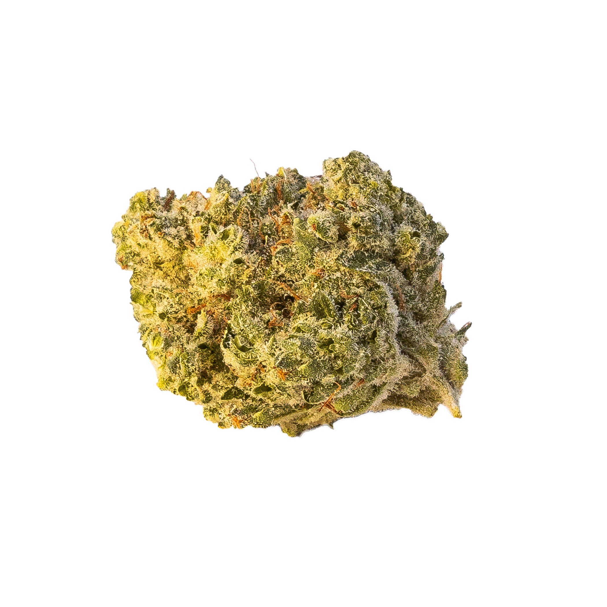 Appalachian Ape Cannabis Bud