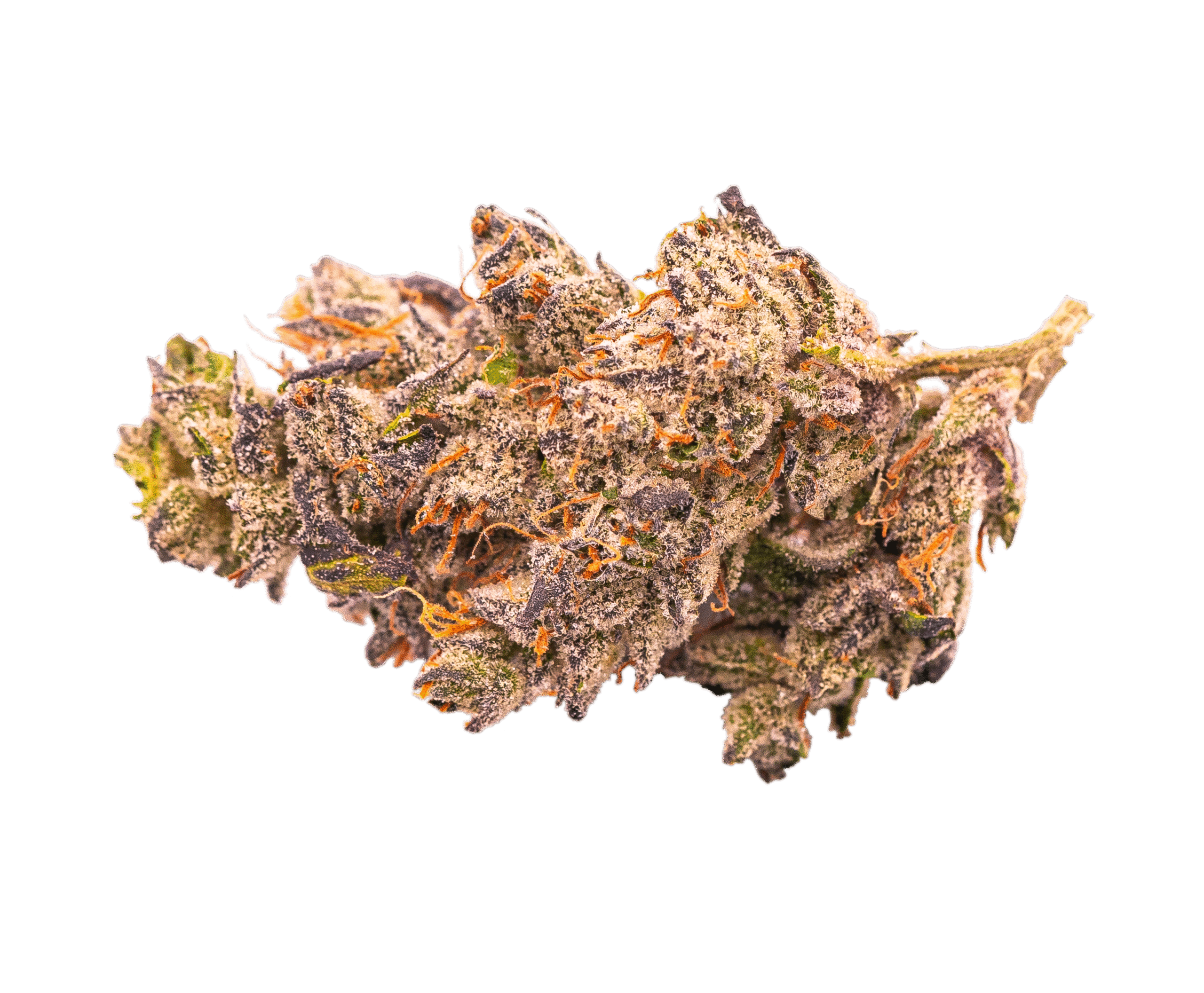Lotawana OG Cannabis Bud