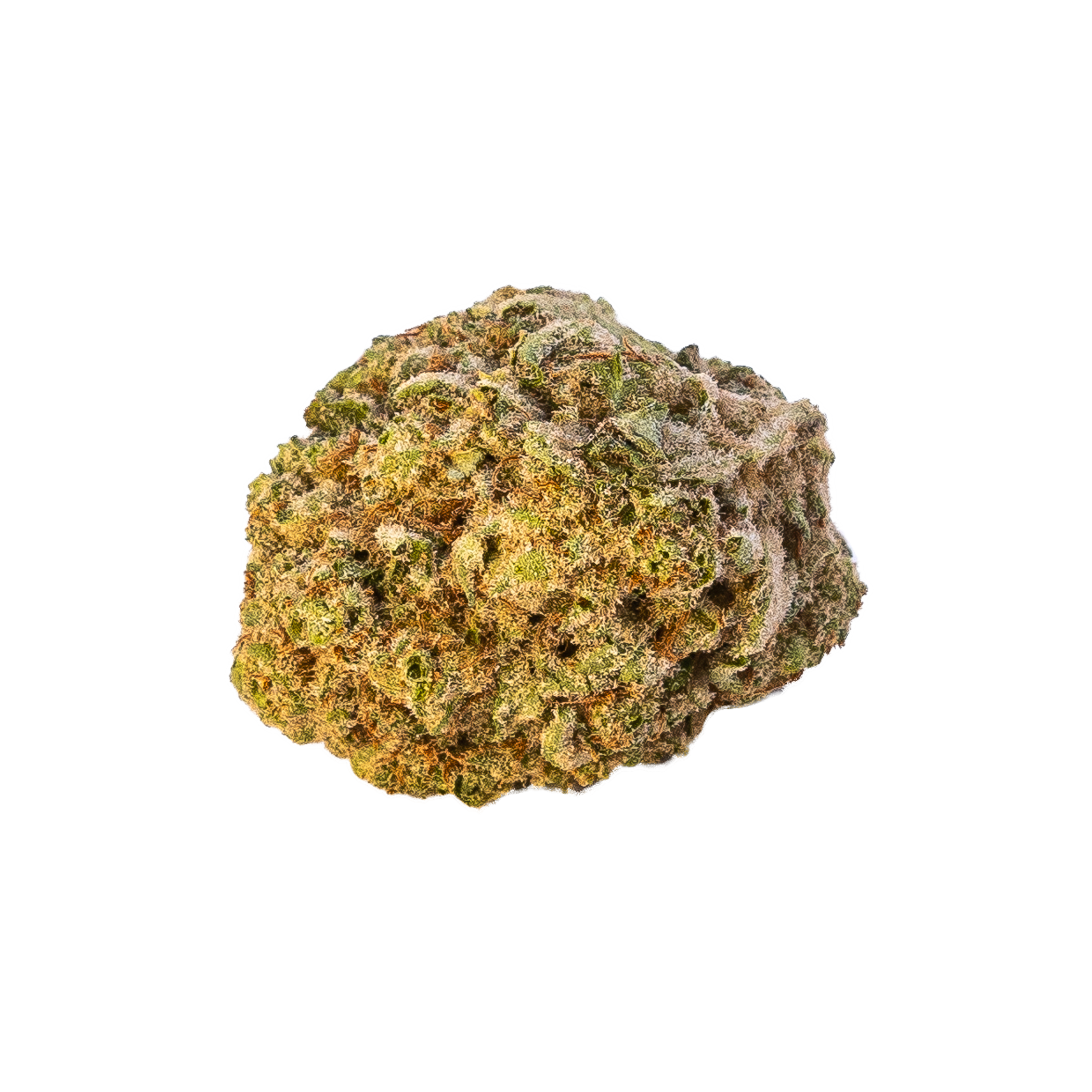 Mac Cheese Cannabis Bud