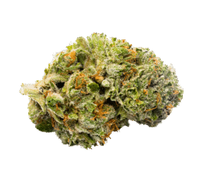 Mimosa Cannabis Bud