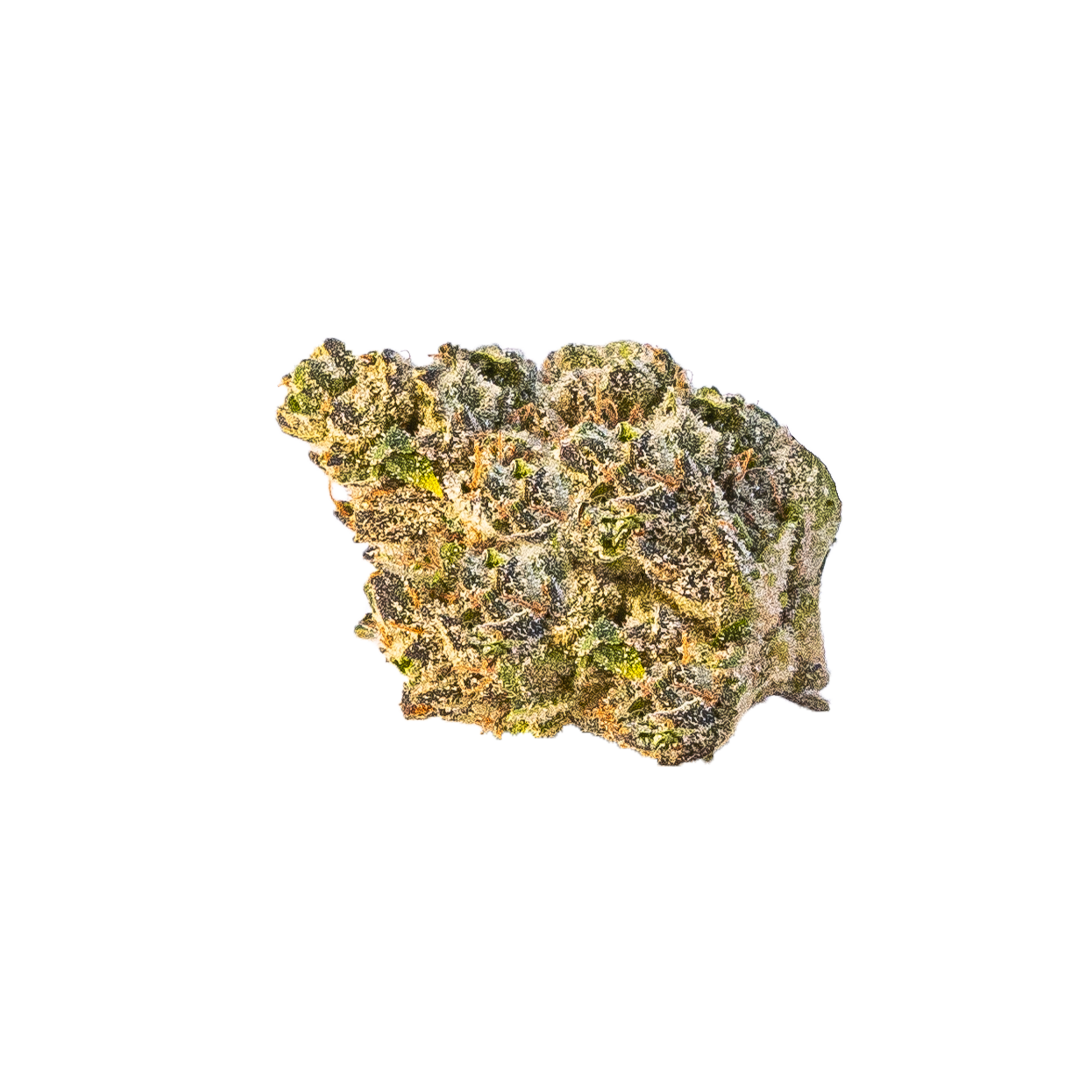 Terpwin Station Cannabis Bud