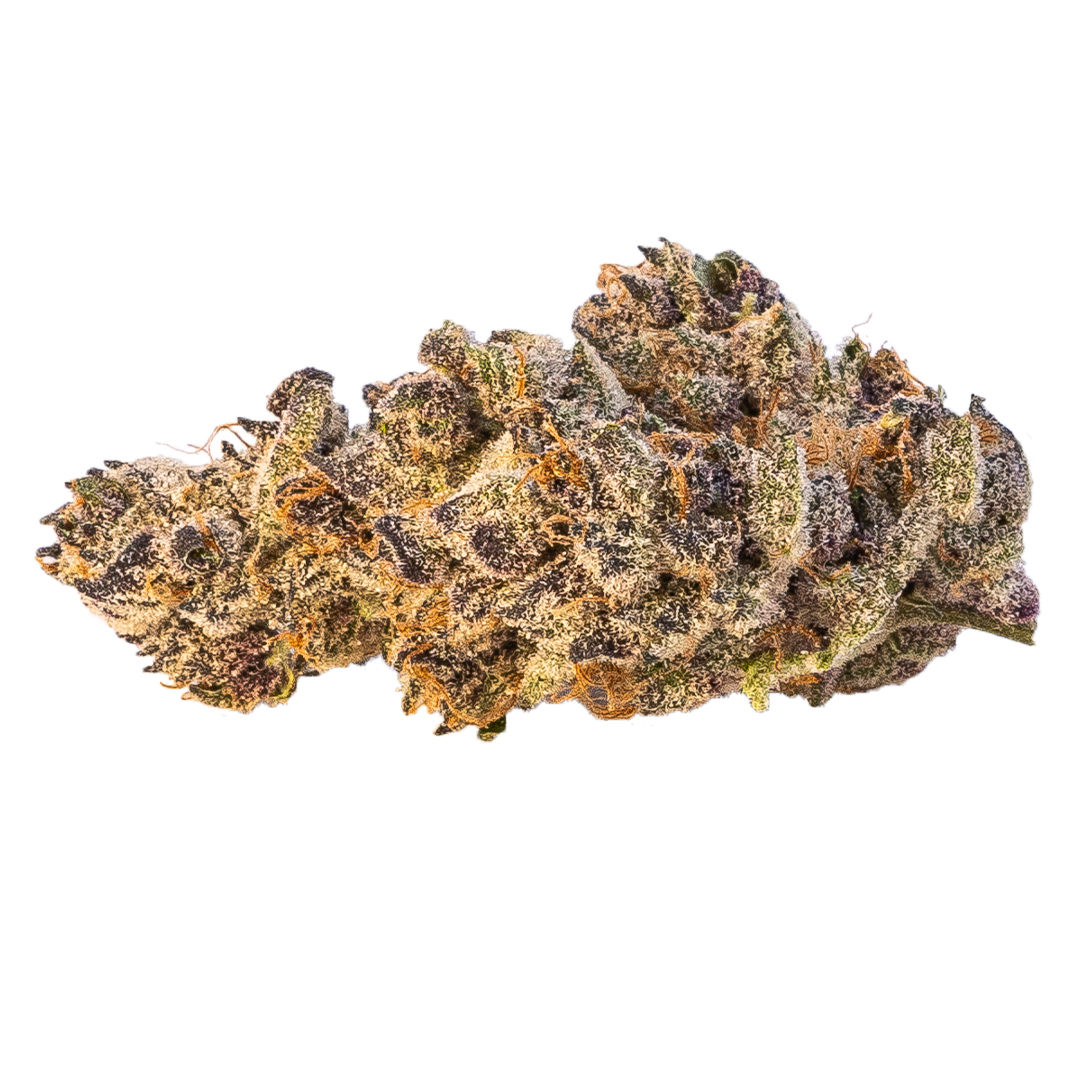Tropicana Cookies Cannabis Bud