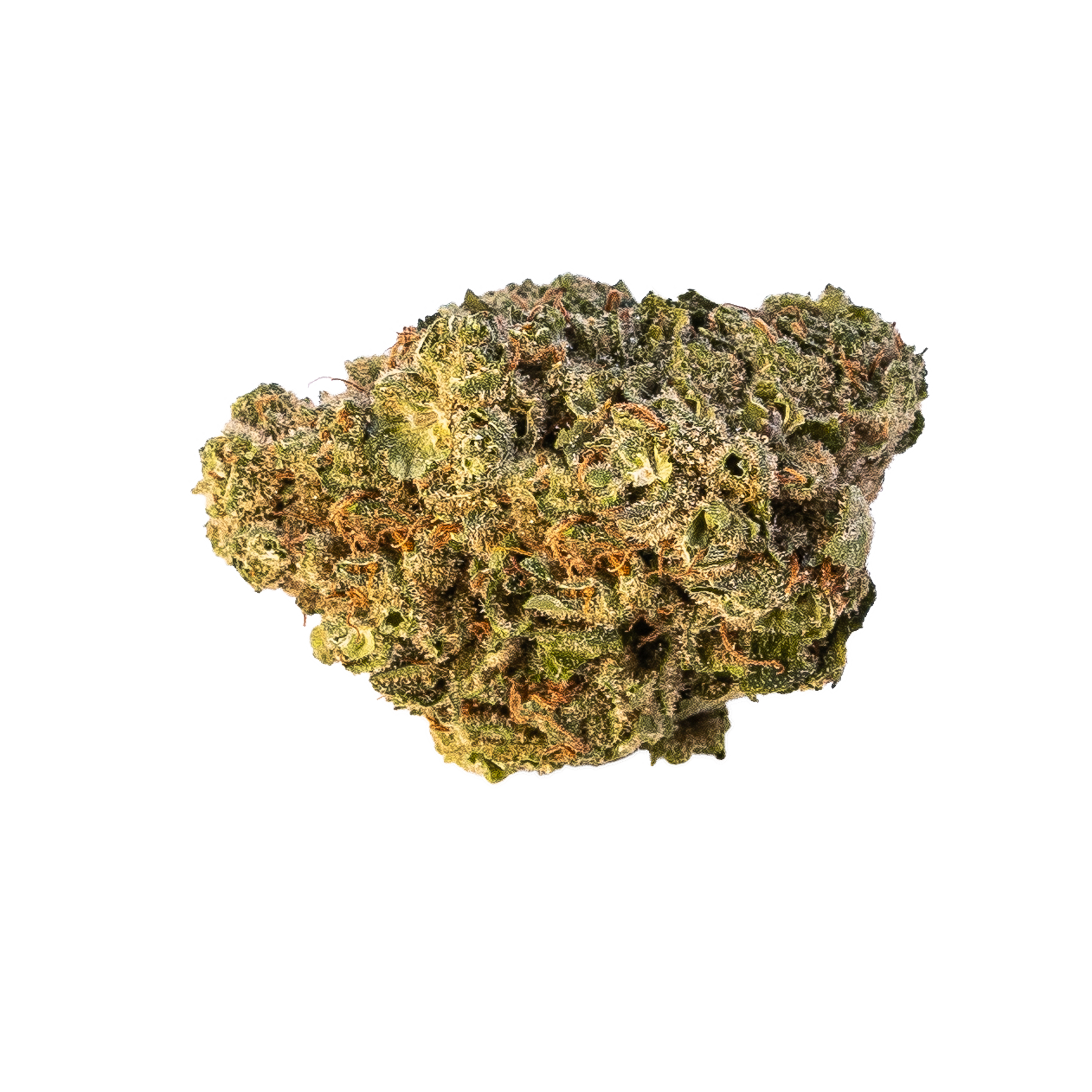 Jasmine Thai Cannabis Bud