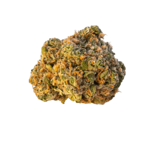 Safety Meeting Cannabis Bud