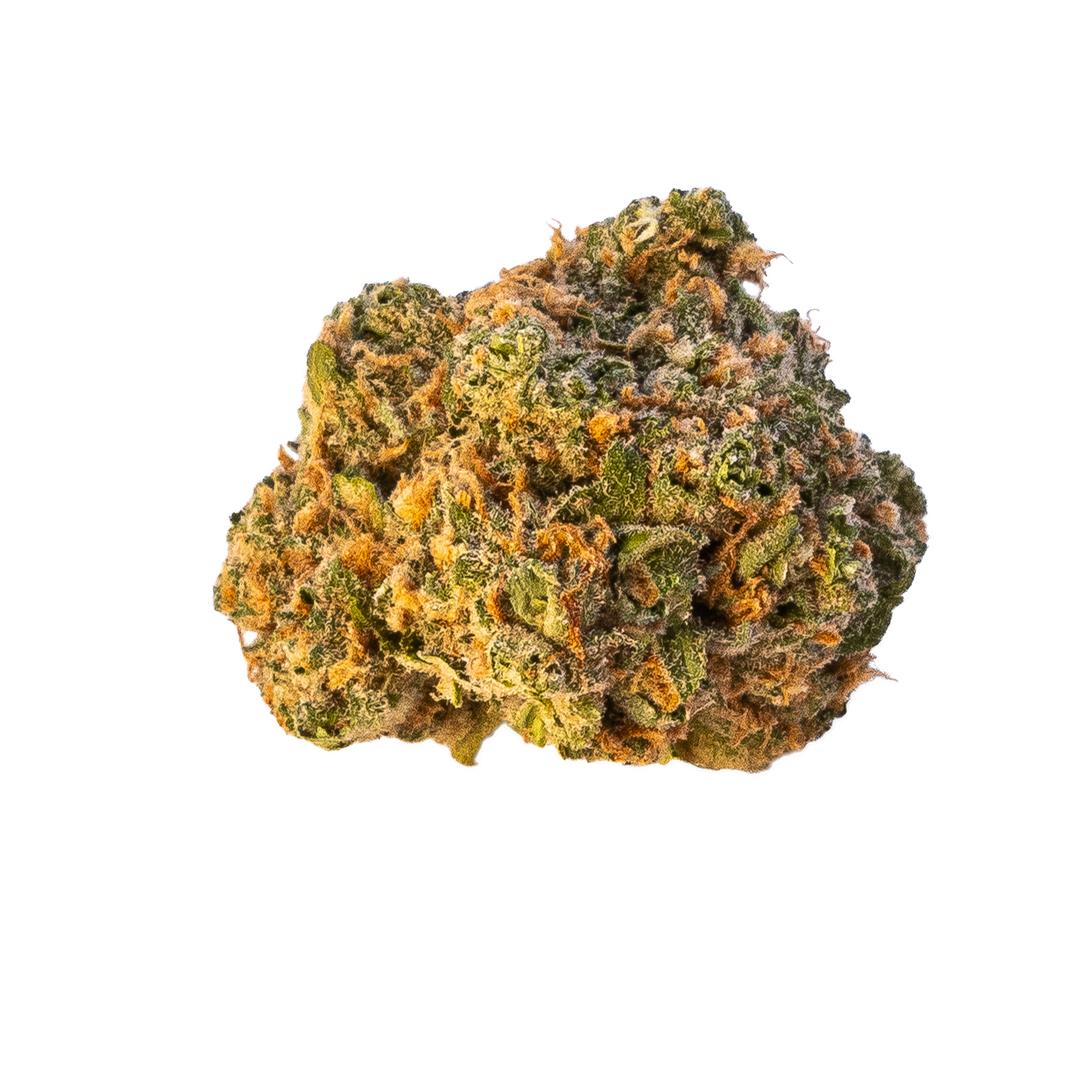 Safety Meeting Cannabis Bud