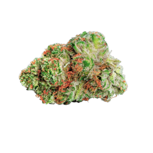 Black Razz cannabis bud