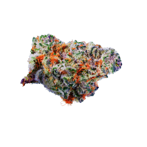 Buff Cherry Cannabis Bud