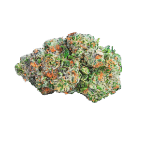 Sunrize Social cannabis bud