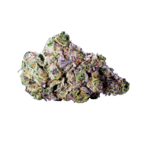 Wise Guy cannabis bud