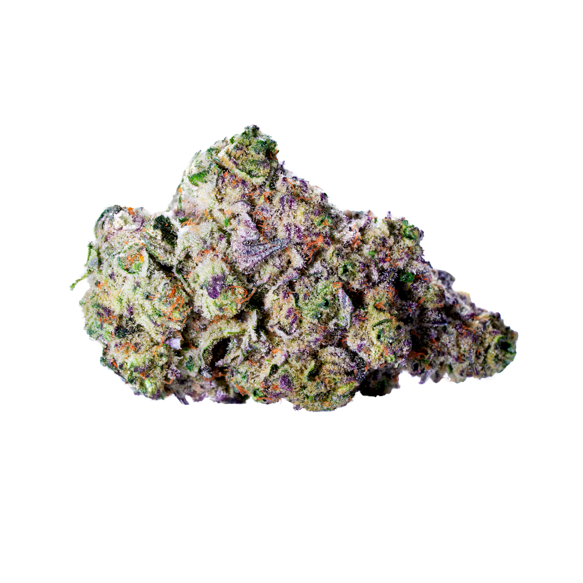 Wise Guy cannabis bud