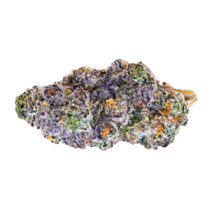 Black Maple Cannabis Bud