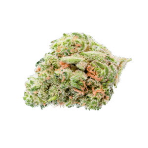 Cali Sunset Rose Cannabis Bud