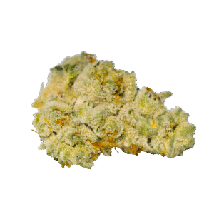 Cereal Milk - Elevate Cannabis