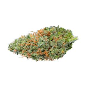 Love Island Cannabis Bud
