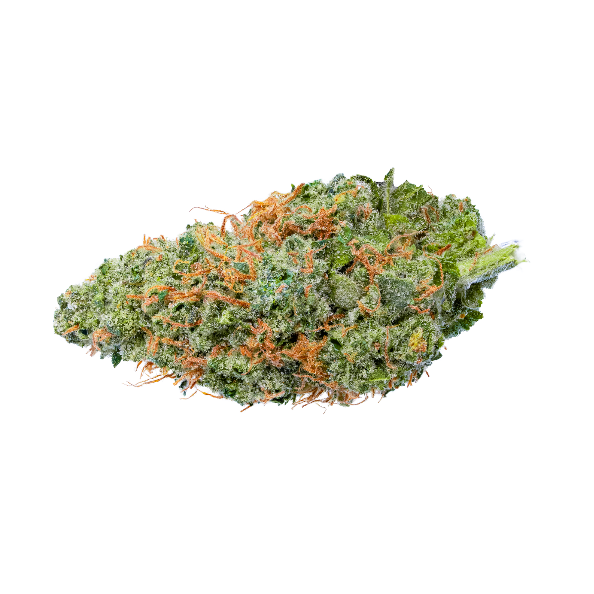 Love Island Cannabis Bud