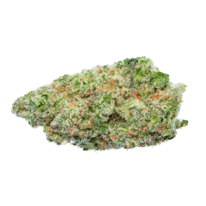 Planet of the Grapes Bud
