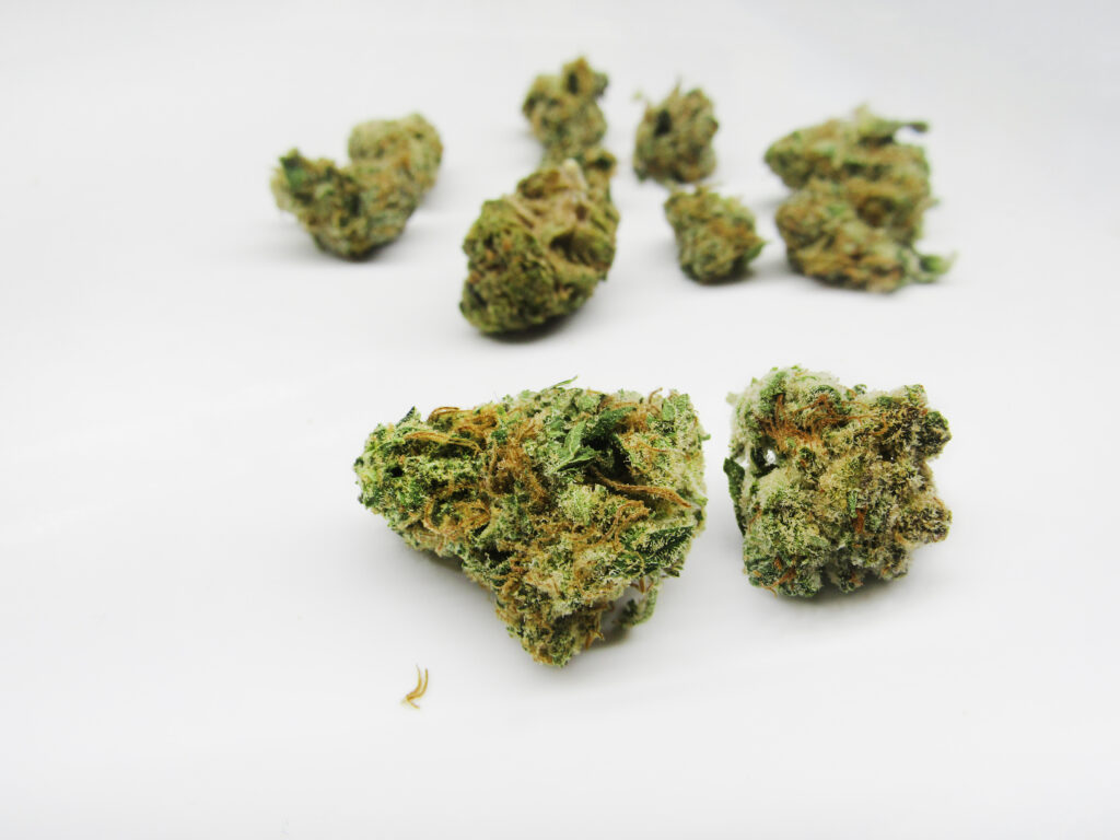 green cannabis buds on a white background
