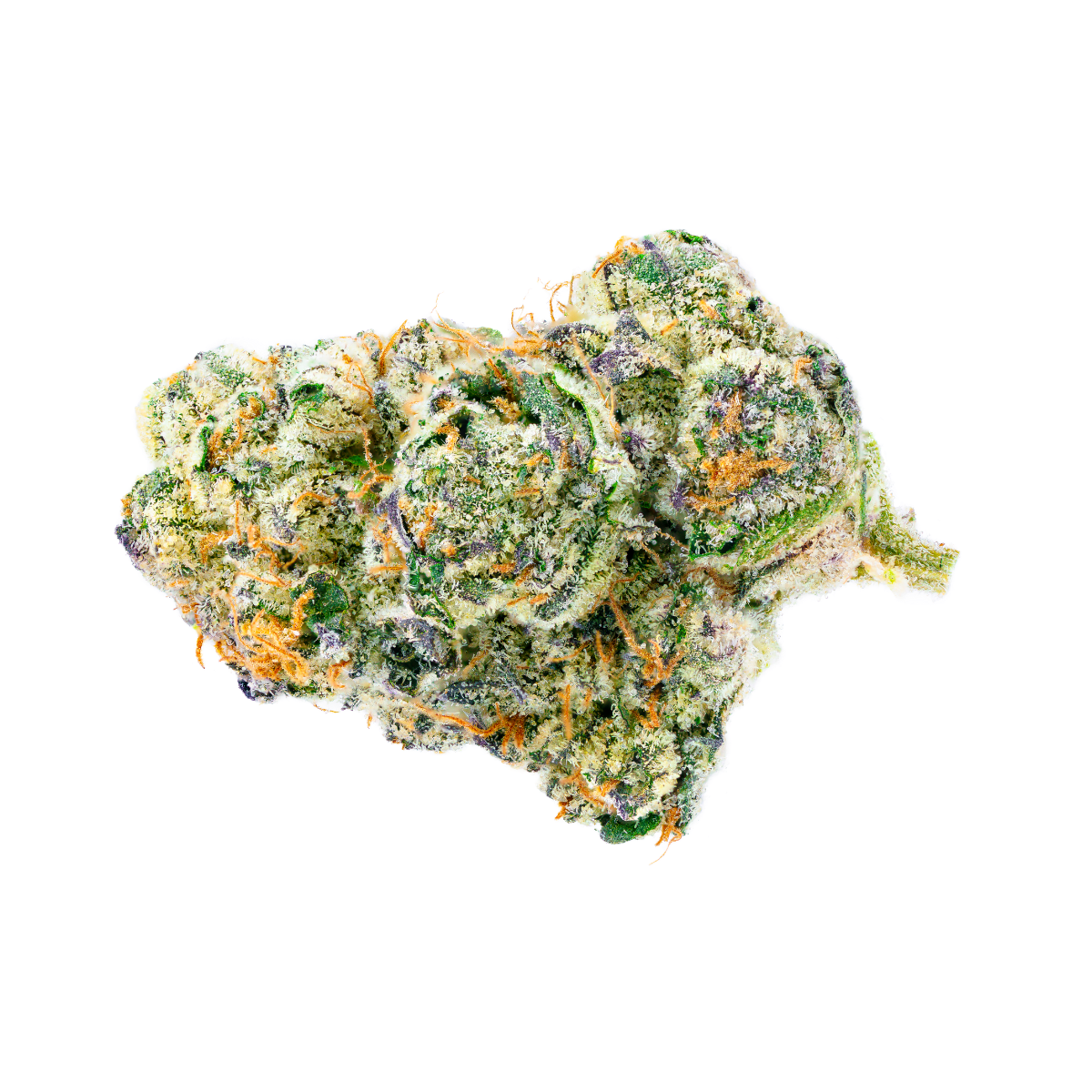 Strawberry Guava Bud