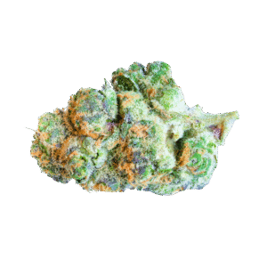 Super Boof Cannabis Bud