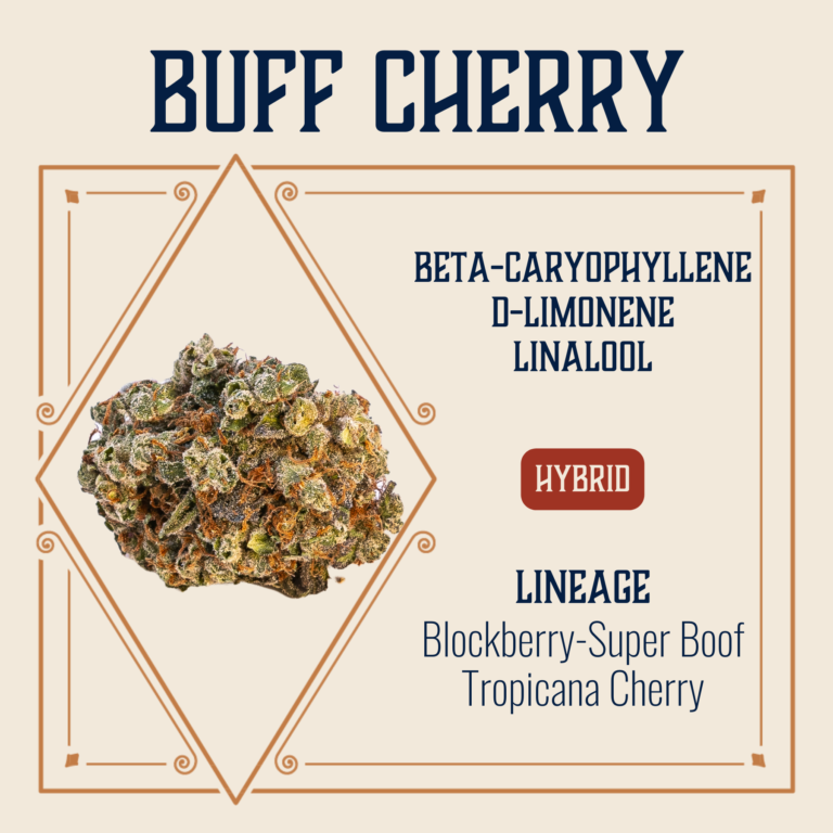 buff cherry weed strain