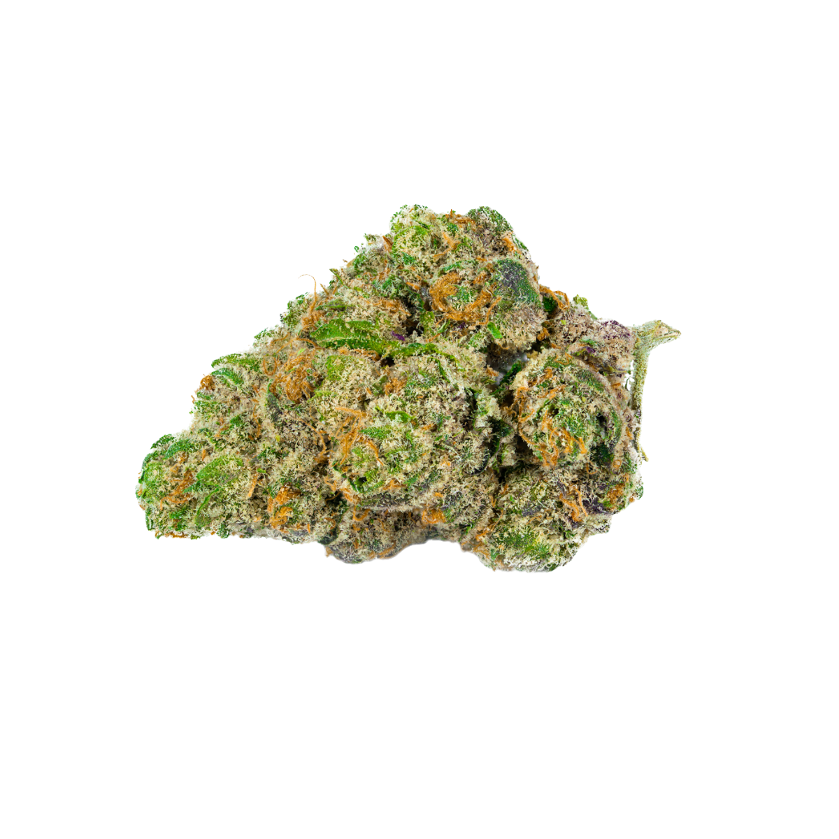 First Lady cannabis bud