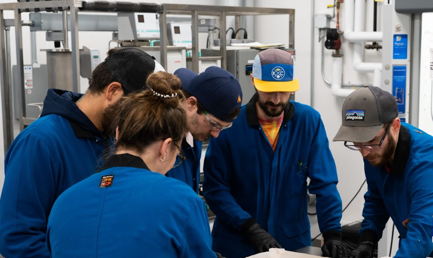 Five people in blue lab coats looking down at cannabis concentrate.